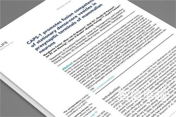 专利翻译（知识产权翻译）