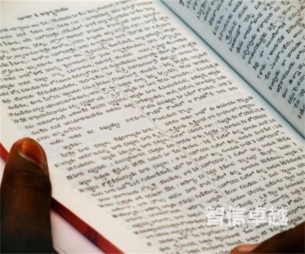 英文合同翻译-翻译一份合同多少钱