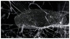 机械翻译对于需要译员有要求吗