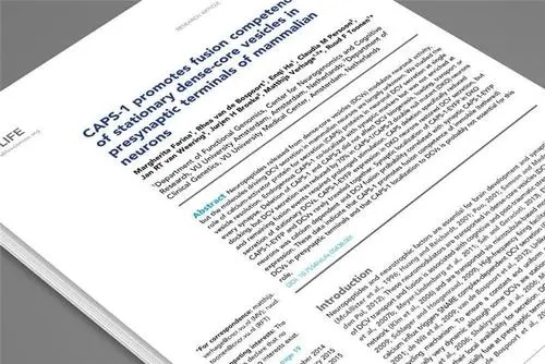 专业的合同翻译译员具备的能力