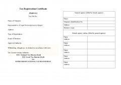 税务登记翻译的注意事项